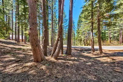 1444 Apache Avenue, South Lake Tahoe, CA 96150 - Photo 9