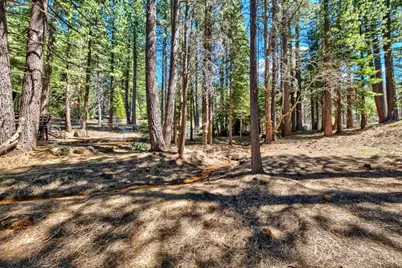 1444 Apache Avenue, South Lake Tahoe, CA 96150 - Photo 7