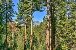 1428 Skyline Dr, South Lake Tahoe, CA 96150 - Photo 1