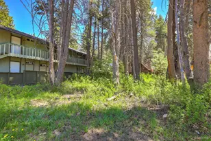 3754 Forest Ave, South Lake Tahoe, CA 96150 - Photo 9