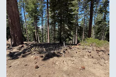 1578 Skyline Drive, South Lake Tahoe, CA 96150 - Photo 5