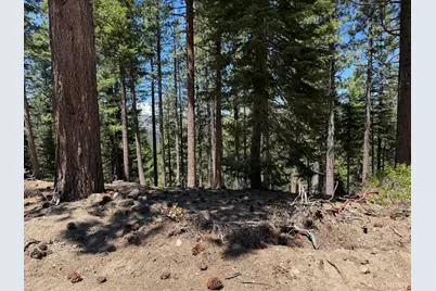 1578 Skyline Drive, South Lake Tahoe, CA 96150 - Photo 3