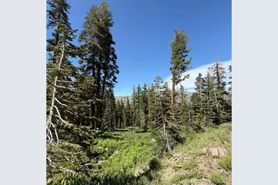 34011 Danburg Drive #50, Kirkwood, CA 95646 - Photo 17