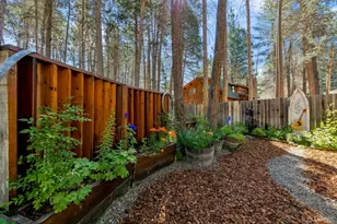 3680 Tamarack Ave, South Lake Tahoe, CA 96150 - Photo 9