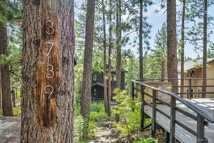 3739 Terrace Dr, South Lake Tahoe, CA 96150 - Photo 31