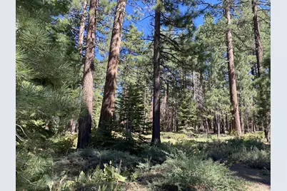 1281 Bonanza Avenue #13, South Lake Tahoe, CA 96150 - Photo 31