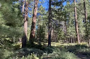 1281 Bonanza Ave, South Lake Tahoe, CA 96150 - Photo 31
