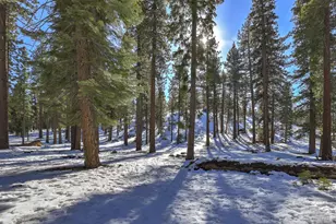 1281 Bonanza Ave, South Lake Tahoe, CA 96150 - Photo 33