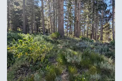 645 Columbine Circle, Kirkwood, CA 95646 - Photo 13