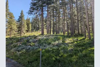 645 Columbine Circle, Kirkwood, CA 95646 - Photo 9