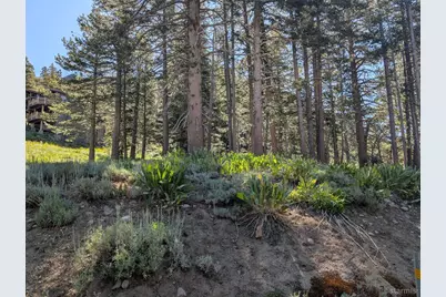 645 Columbine Circle, Kirkwood, CA 95646 - Photo 11