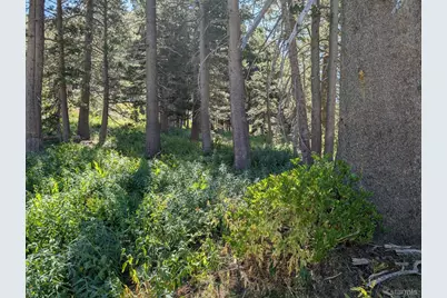 645 Columbine Circle, Kirkwood, CA 95646 - Photo 17