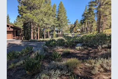 645 Columbine Circle, Kirkwood, CA 95646 - Photo 25