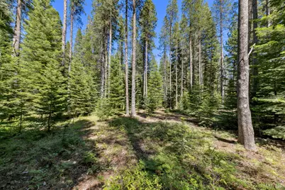 1741 Delaware Street, South Lake Tahoe, CA 96150 - Photo 7