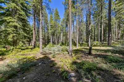 1741 Delaware Street, South Lake Tahoe, CA 96150 - Photo 13