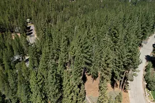 1594 Canienaga St, South Lake Tahoe, CA 96150 - Photo 1