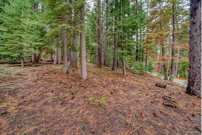 1593 Plumas Circle, South Lake Tahoe, CA 96150 - Photo 13