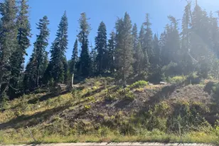 10 Palisades Dr, Kirkwood, CA 95646 - Photo 1