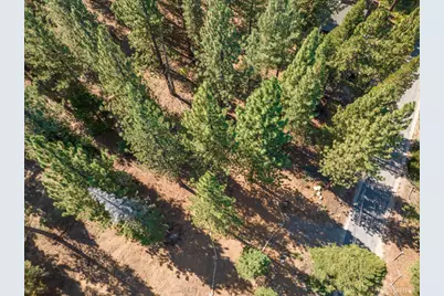 1344 Ottawa Drive, South Lake Tahoe, CA 96150 - Photo 7