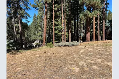 0 Wagon Train Trail 0, South Lake Tahoe, CA 96150 - Photo 5