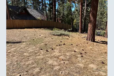 0 Wagon Train Trail 0, South Lake Tahoe, CA 96150 - Photo 7