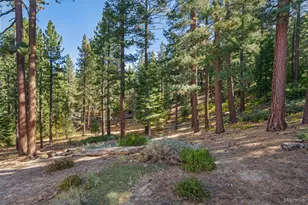 3330 Pine Hill Rd, South Lake Tahoe, CA 96150 - Photo 19