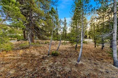 972 Shakori Drive, South Lake Tahoe, CA 96150 - Photo 13