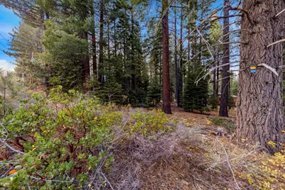 1590 Iroquois Circle, South Lake Tahoe, CA 96150 - Photo 13