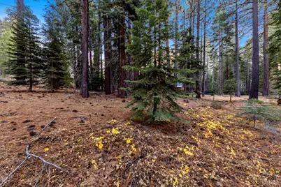1590 Iroquois Circle, South Lake Tahoe, CA 96150 - Photo 17