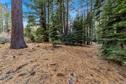 1590 Iroquois Circle, South Lake Tahoe, CA 96150 - Photo 19