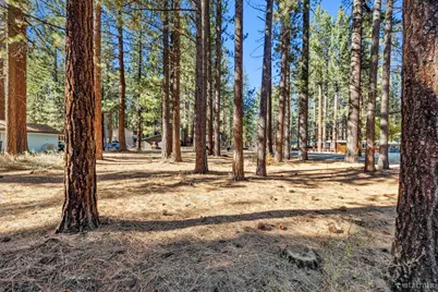 2664 Knox Avenue, South Lake Tahoe, CA 96150 - Photo 9