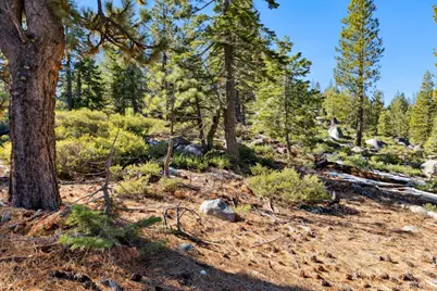 2311 Chiapa Drive, South Lake Tahoe, CA 96150 - Photo 11