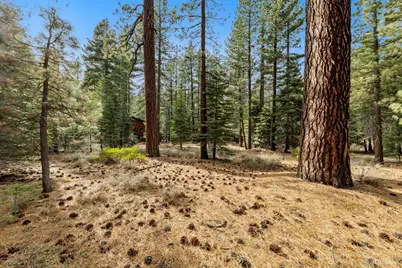 1258 Emerald Bay Road, South Lake Tahoe, CA 96150 - Photo 9