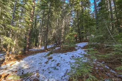 1607 Southern Pines Drive, South Lake Tahoe, CA 96150 - Photo 7