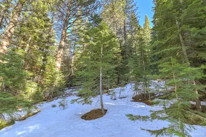 1346 Thunderbird Drive, South Lake Tahoe, CA 96150 - Photo 9