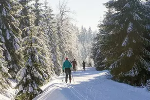 2100 N North Village Dr, Truckee, CA 96161 - Photo 23