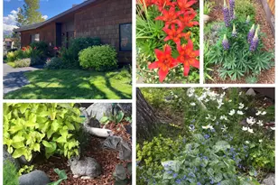 357 Ala Wai Blvd, South Lake Tahoe, CA 96150 - Photo 27