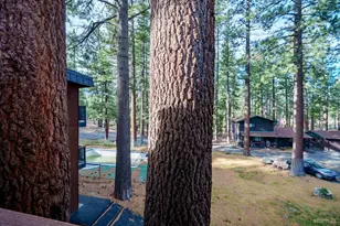 516 Emerald Bay Rd, South Lake Tahoe, CA 96150 - Photo 17