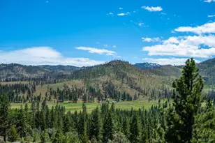 151 Silver Peak Rd, Markleeville, CA 96120 - Photo 31