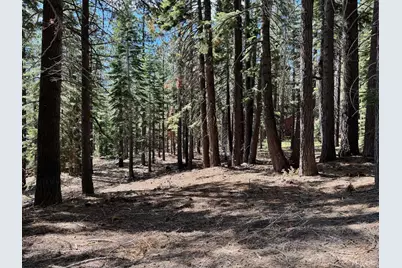 1951 Delaware Street, South Lake Tahoe, CA 96150 - Photo 9