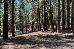 1951 Delaware St, South Lake Tahoe, CA 96150 - Photo 9