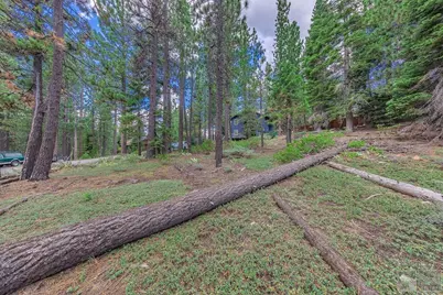 1801 Meadow Vale Drive, South Lake Tahoe, CA 96150 - Photo 13