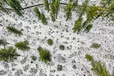 3 Raymond View, Markleeville, CA 96120 - Photo 9