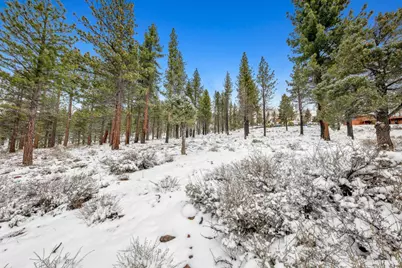 3 Raymond View, Markleeville, CA 96120 - Photo 35