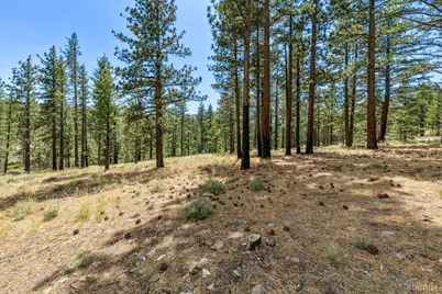 3 Raymond View, Markleeville, CA 96120 - Photo 21