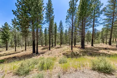 3 Raymond View, Markleeville, CA 96120 - Photo 19