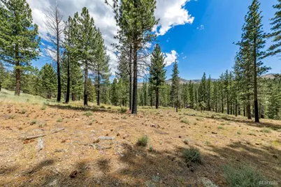 3 Raymond View, Markleeville, CA 96120 - Photo 17