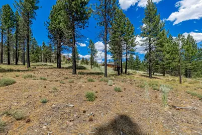 3 Raymond View, Markleeville, CA 96120 - Photo 23