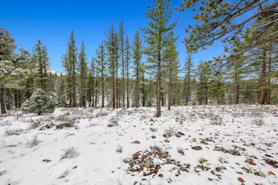 3 Raymond View, Markleeville, CA 96120 - Photo 27