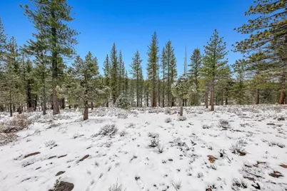 3 Raymond View, Markleeville, CA 96120 - Photo 37